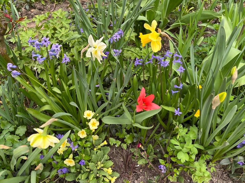 B7E671DC-D276-4BA7-BD75-2505B1D86135 - Narcise 2019 2022 25