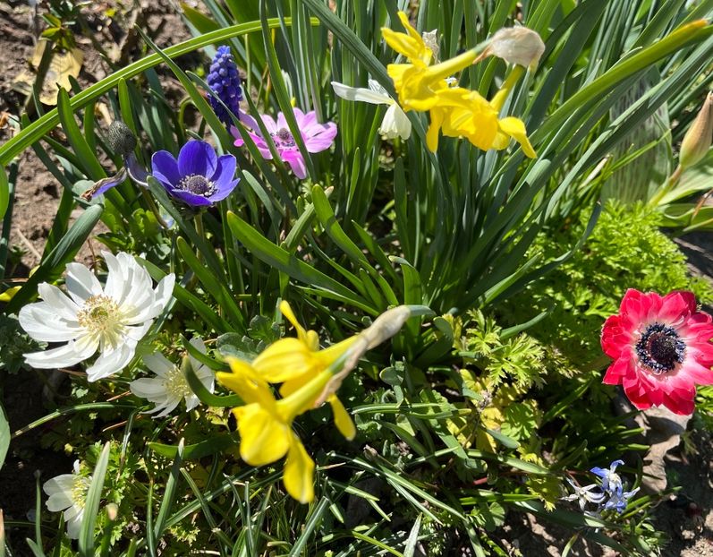 777BA31D-89BE-4F33-B1B1-141EE410A5AE - Narcise 2019 2022 25