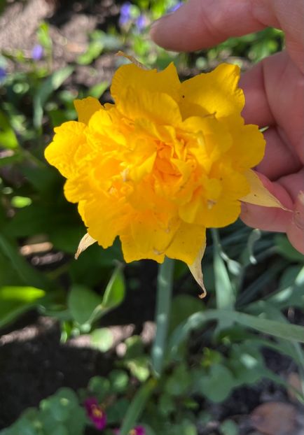 6D964AD0-FAA9-4942-BC67-B4E9B3798C36 - Narcise 2019 2022 25