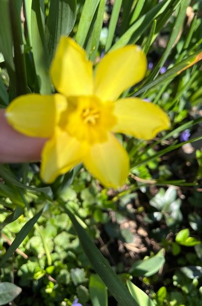 FAC690CD-BE53-46ED-8876-6CD7B9AC641B - Narcise 2019 2022 25