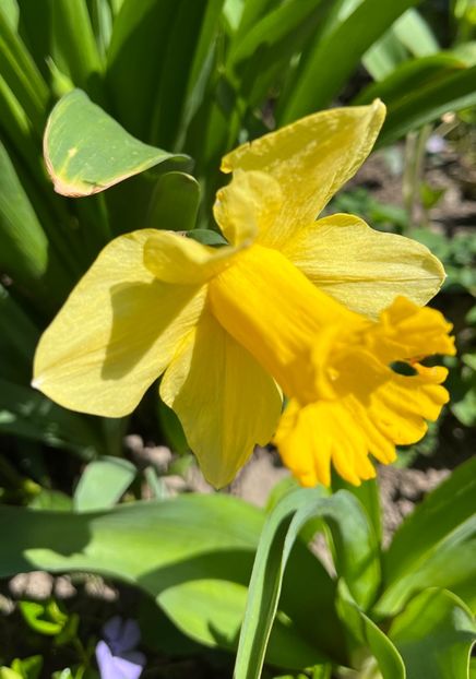 EBA92C64-3ADA-4845-BCE5-0DCCB3A0B0DB - Narcise 2019 2022 25