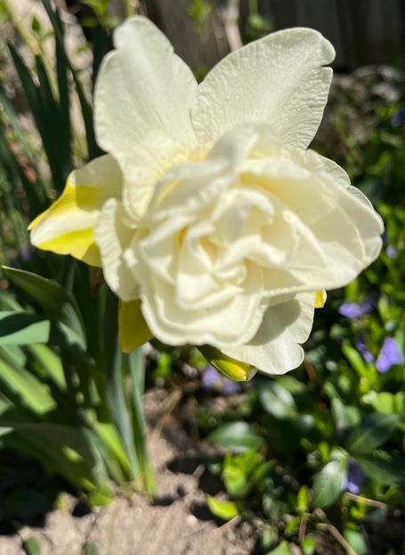 5203B454-3FC4-4ECA-9B90-44D9016C3390 - Narcise 2019 2022 25