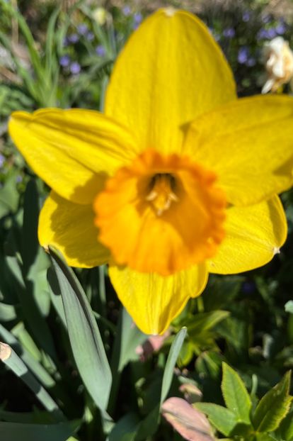 211F1DD3-7A51-4083-875B-19132E21F016 - Narcise 2019 2022 25