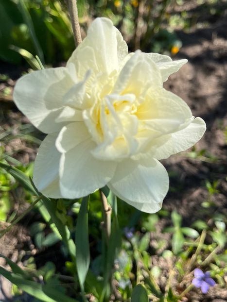 7C4D442C-F045-47AF-988F-BF8A1AB822AA - Narcise 2019 2022 25