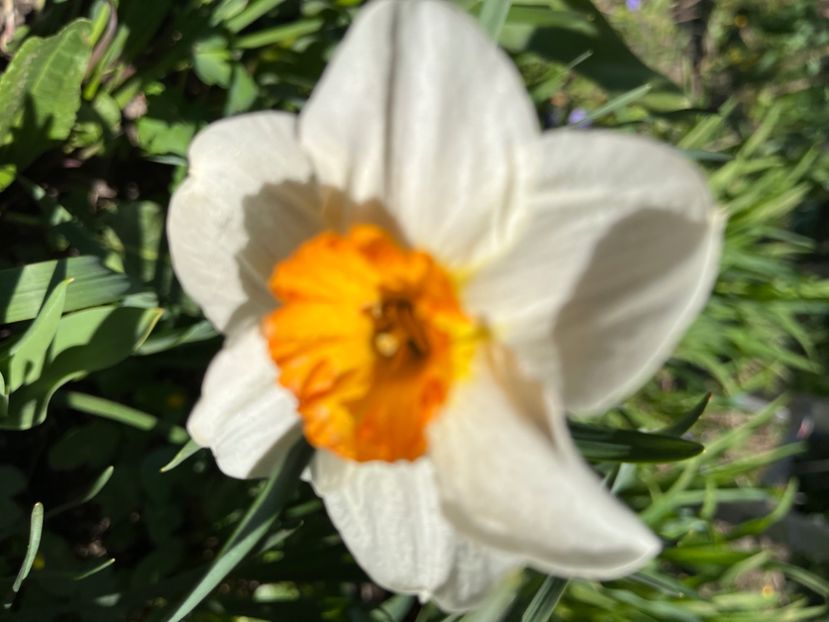 D074F9F9-9FB3-48BA-8563-BA10216C9163 - Narcise 2019 2022 25