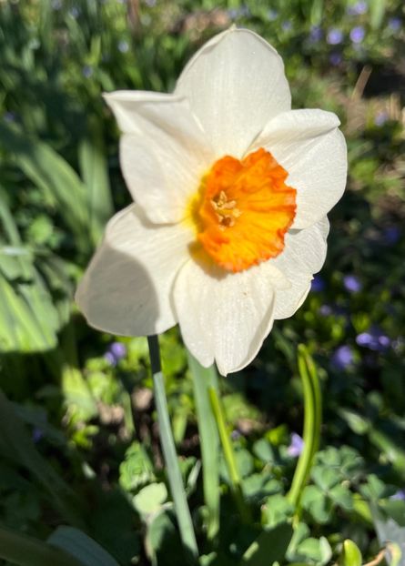 EE31C9F3-27E2-4FE9-A01B-0926696CBE41 - Narcise 2019 2022 25