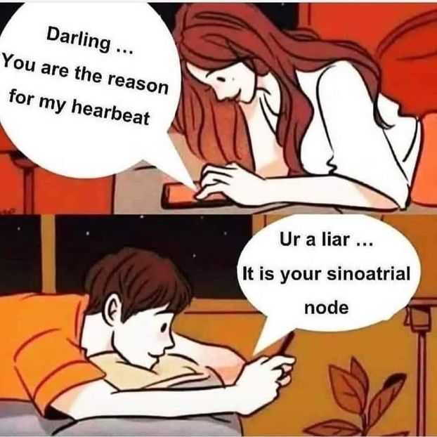 B805CB25-8BCD-4B95-B77C-BA61C8FF7692 - x what would mu sama say