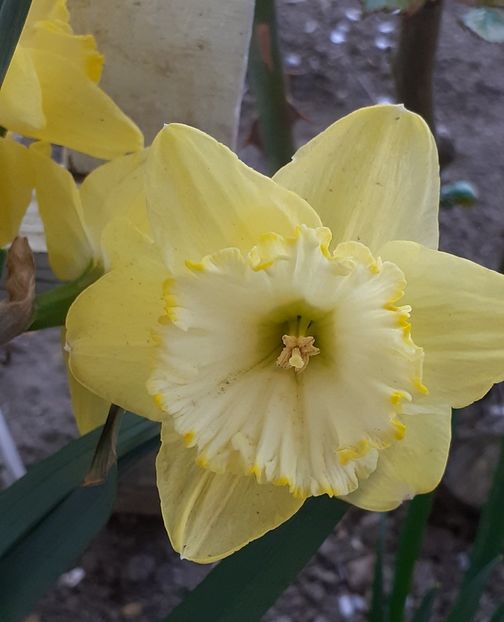 20220408_184103(0) - APRILIE