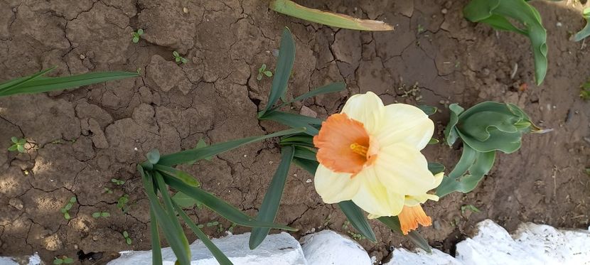  - Sub tutela soarelui