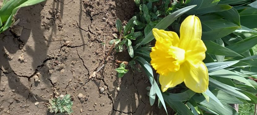  - Sub tutela soarelui