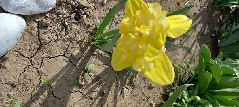  - Sub tutela soarelui