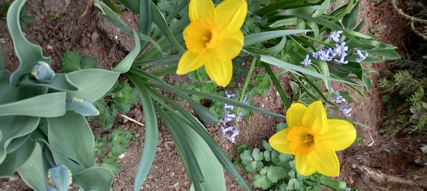  - Sub tutela soarelui