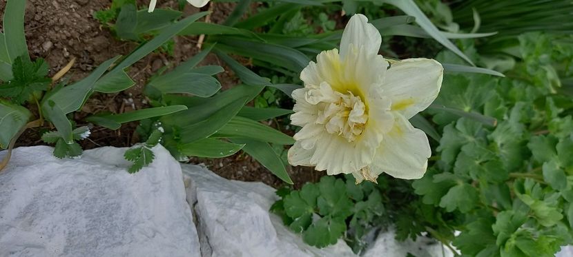  - Sub tutela soarelui