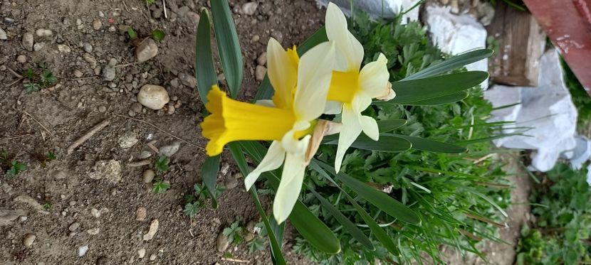  - Sub tutela soarelui