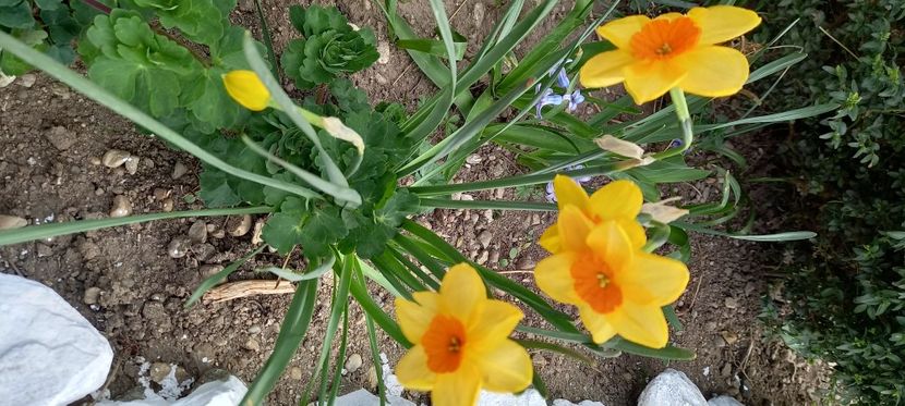  - Sub tutela soarelui