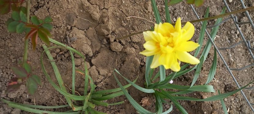  - Sub tutela soarelui