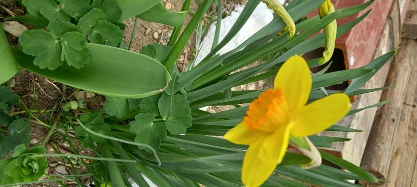  - Sub tutela soarelui