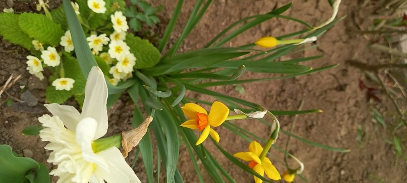  - Sub tutela soarelui