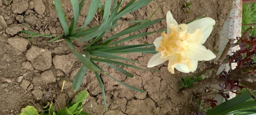  - Sub tutela soarelui