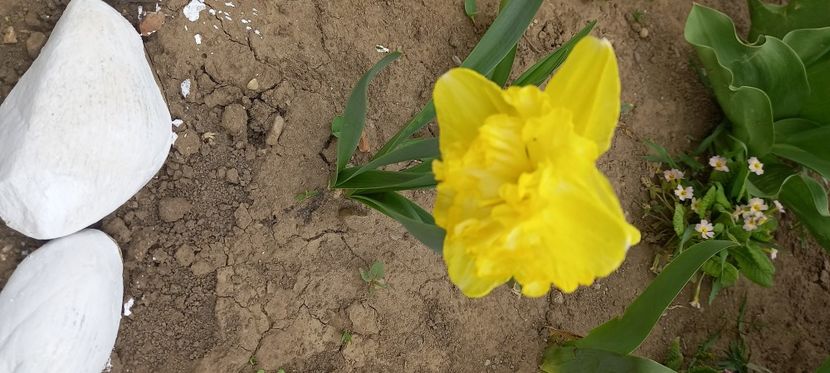  - Sub tutela soarelui