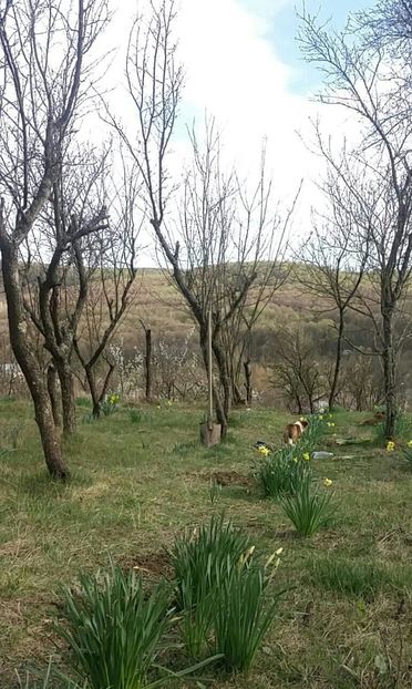 ;) În grădină cu ajutoare! - Acasă e la mama