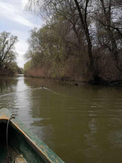  - Delta Dunării