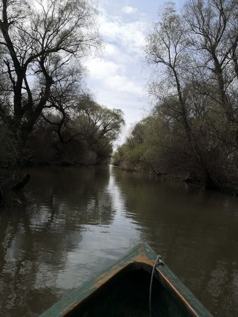  - Delta Dunării