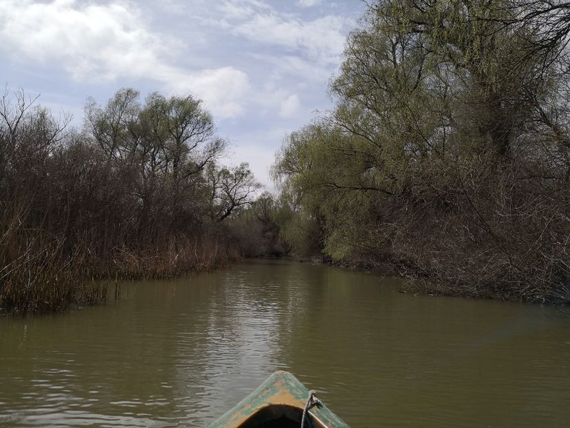  - Delta Dunării