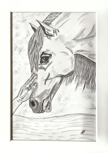 13 - Desene grafice