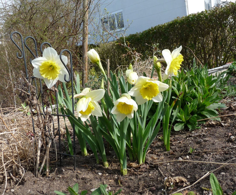  - 2022 - 01 - Primavara