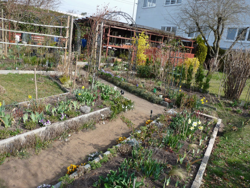  - 2022 - 01 - Primavara