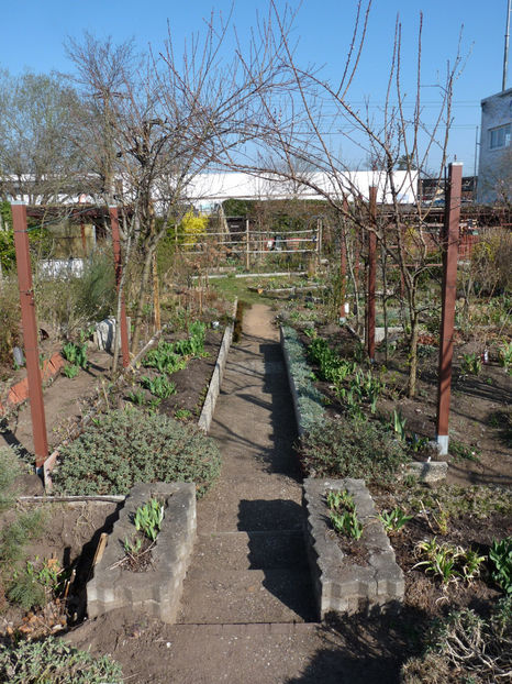  - 2022 - 01 - Primavara