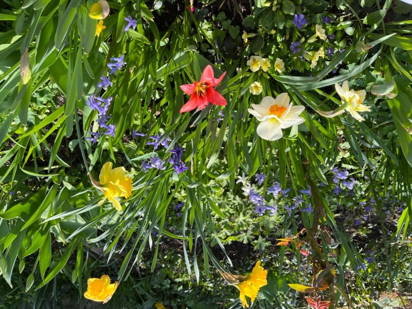 84BCCA17-545C-410D-8B34-B0D38784B394 - Narcise 2019 2022 25