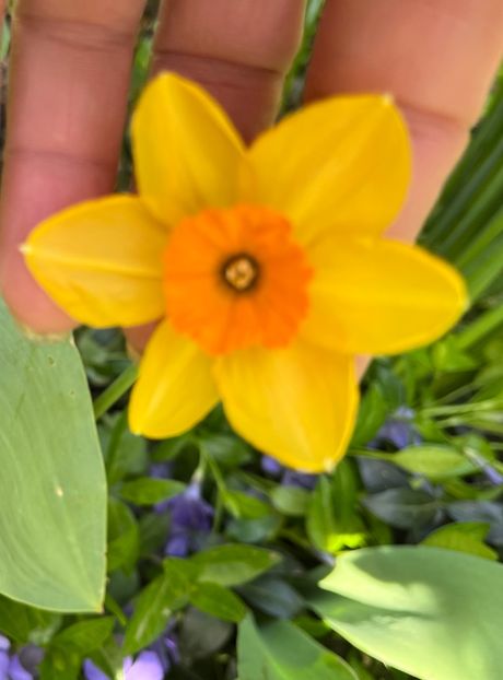 9F493ACE-3FF5-4C85-B4AF-0A0A1E0685BC - Narcise 2019 2022 25