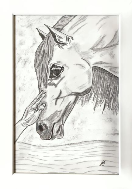 Afecțiune - Desene grafice în creion