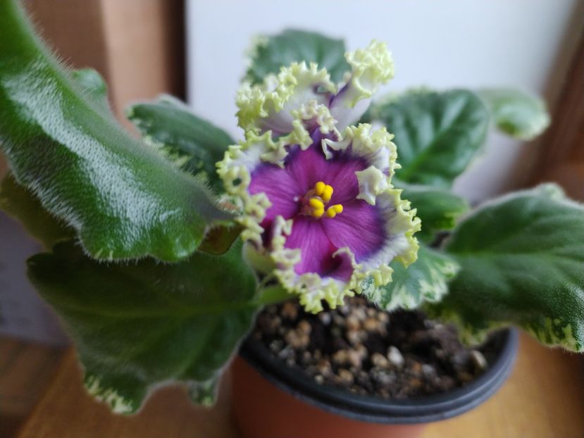 10 aprilie 2022 - RS Don Zhuan sp