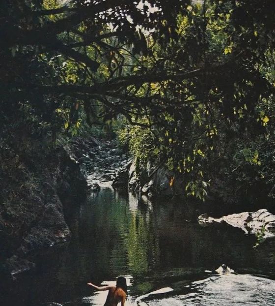 pools of ʻOheʼo - Collection of Tintypes