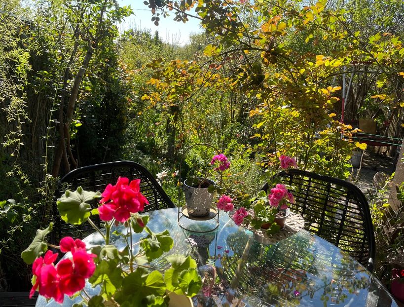 7E8D628D-0F6E-4A32-8DBF-234B6435DAF1 - Muscate 2021 22