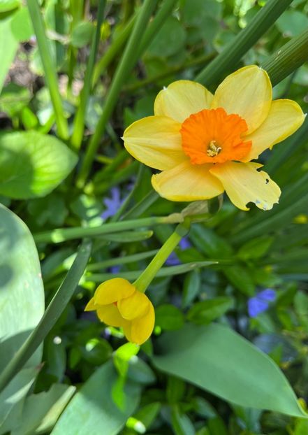 D41C2E43-5191-44EE-B582-EFBDA069E620 - Narcise 2019 2022 25