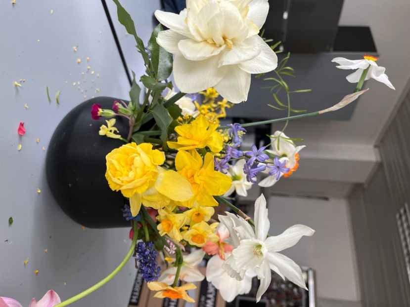 BF584A12-0FFB-4D06-ABBF-30922D1EAE4C - Narcise 2019 2022 25