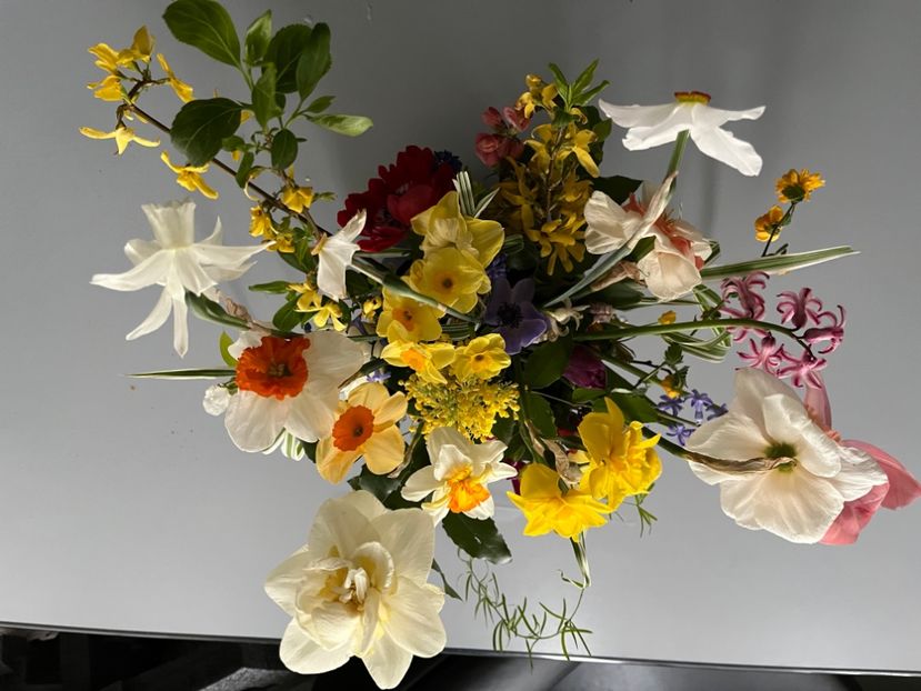 CD184D3B-453D-4639-BCBF-9BA390F69898 - Narcise 2019 2022 25