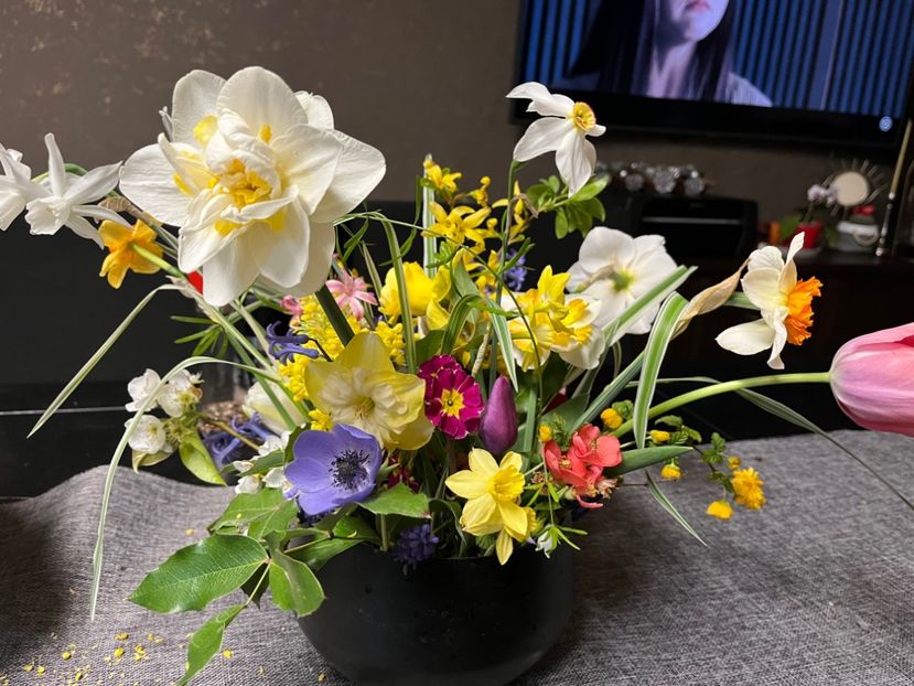 1415CF9E-9A60-4793-BF4A-386A773C5391 - Narcise 2019 2022 25