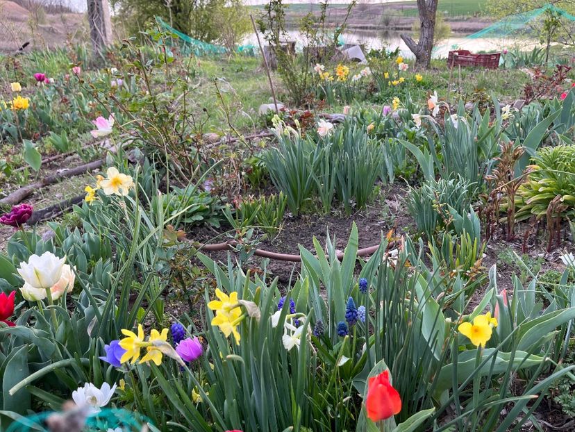 4B7B6795-48F5-47D2-BF06-FEEC11E05366 - Narcise 2019 2022 25