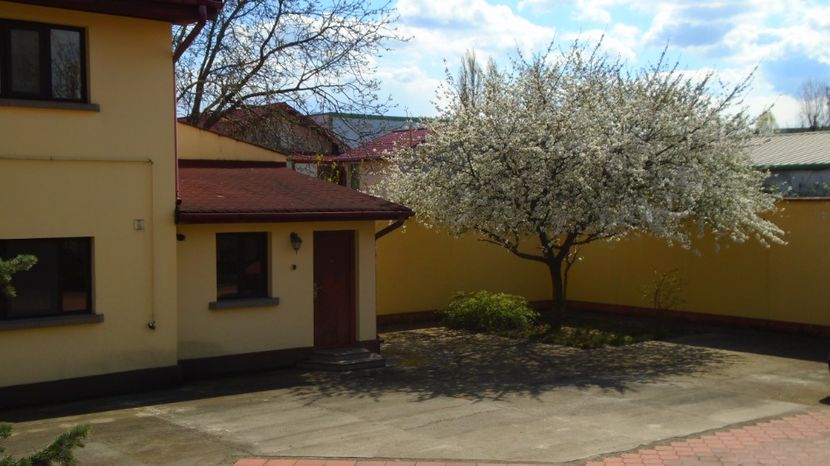 Visin - Primavara 2021-2022-2023