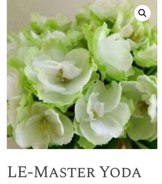 Poza net - LE-Master Yoda