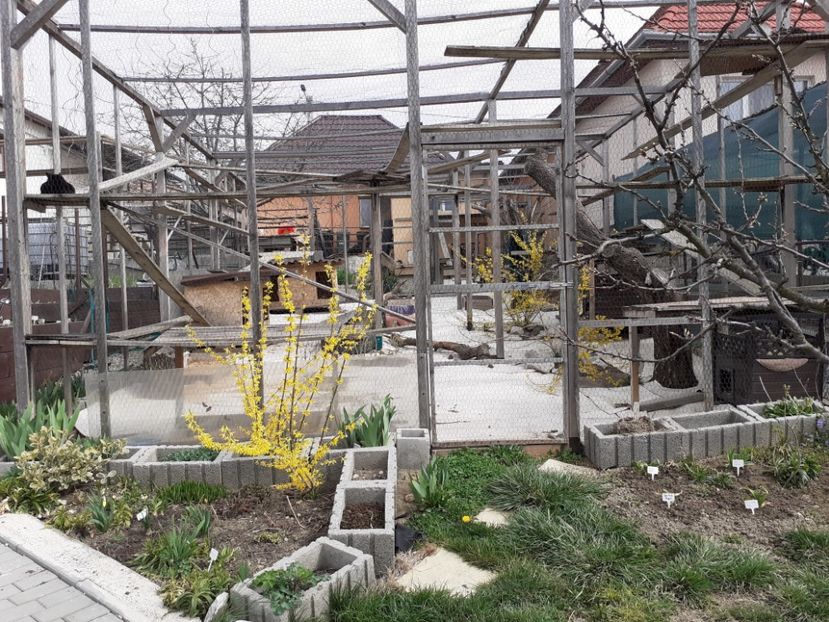  - Gradina 2022