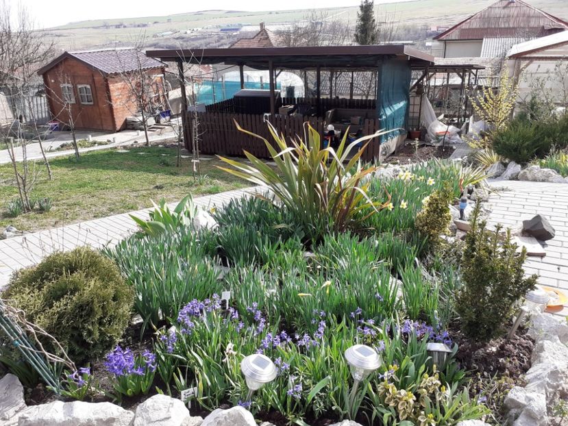  - Gradina 2022