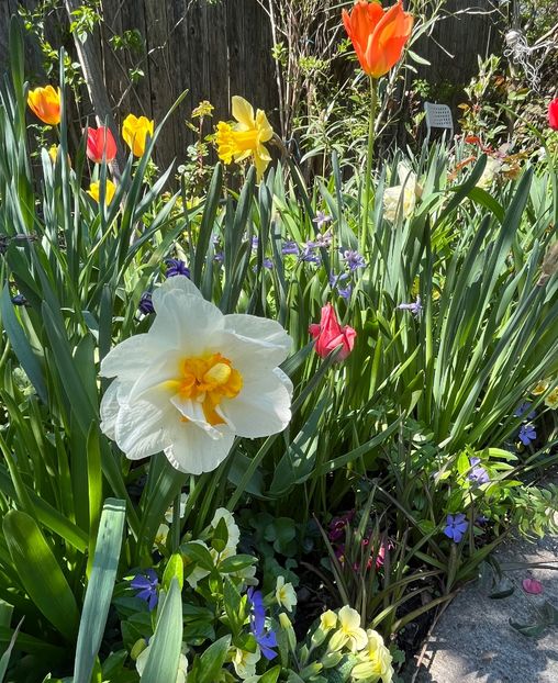 5C568334-5A7C-4337-9719-F902958D6E6D - Narcise 2021 2022