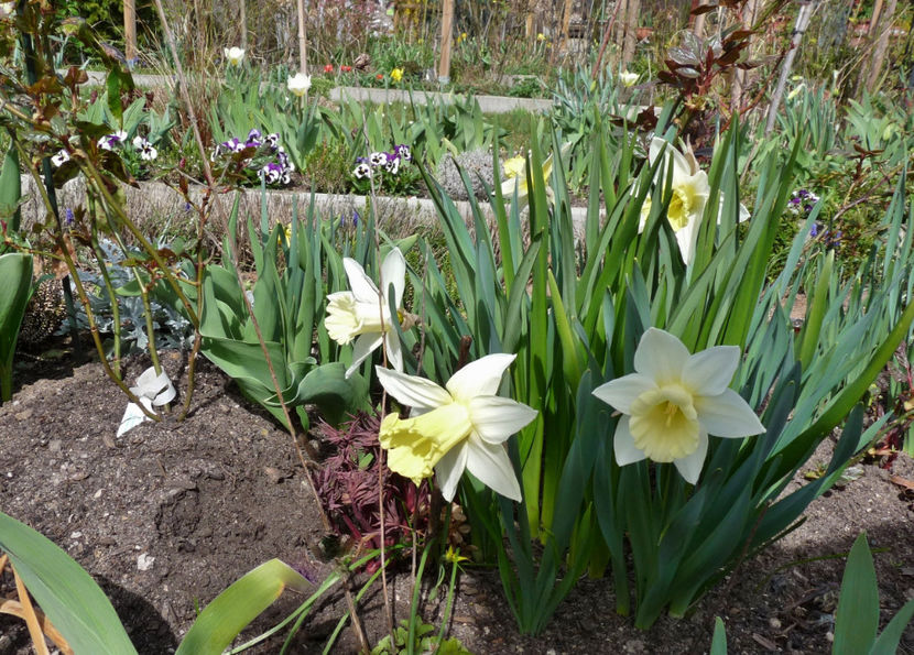  - 2022 - 01 - Primavara