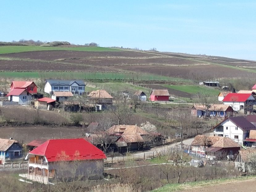  - Satu Nou